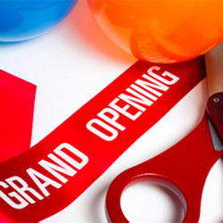 new businesses and startups
